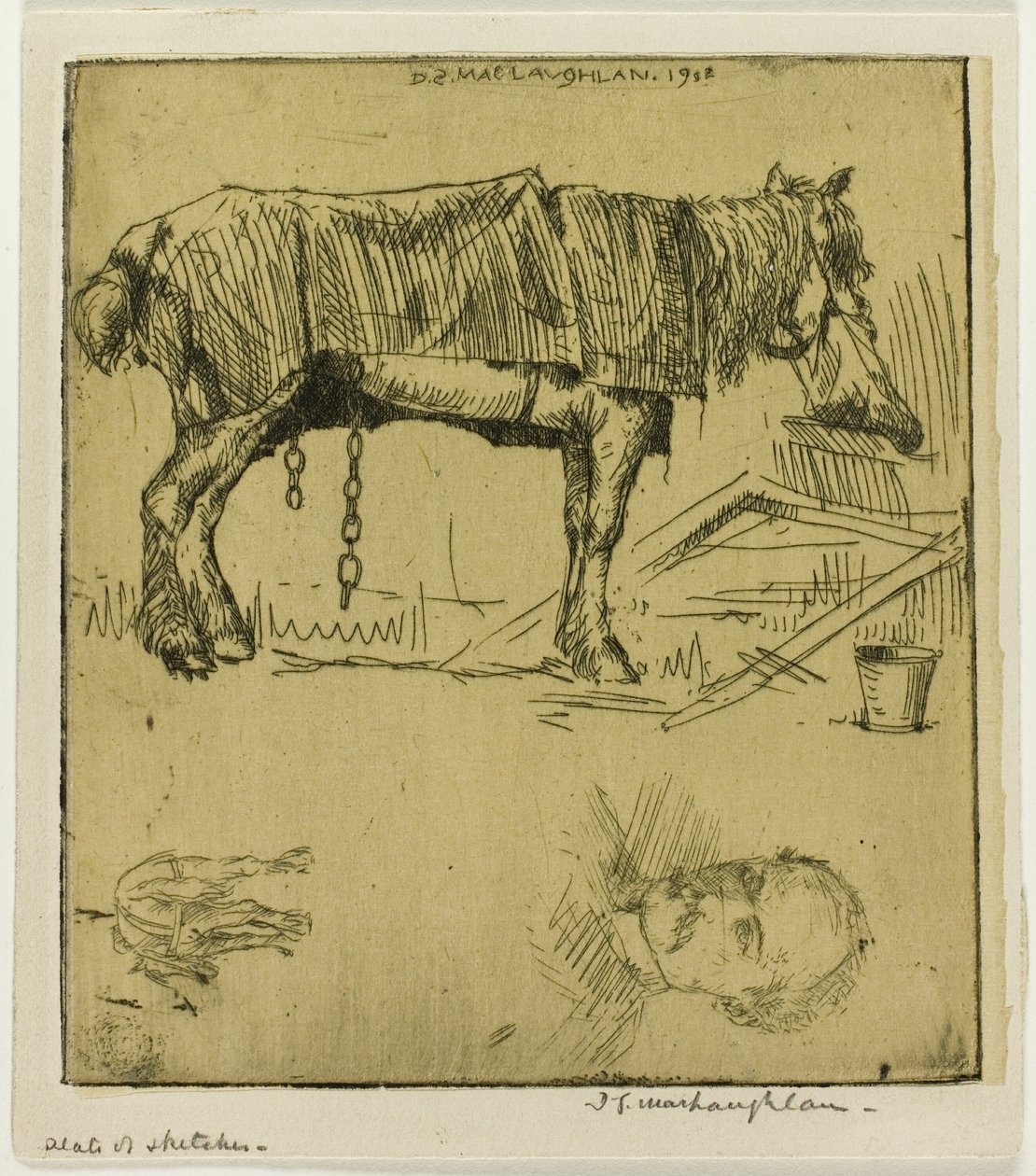  द्वारा डोनाल्ड शॉ MacLaughlan