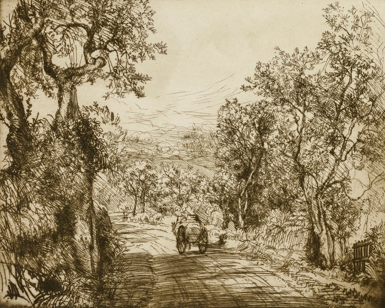 द्वारा डोनाल्ड शॉ MacLaughlan