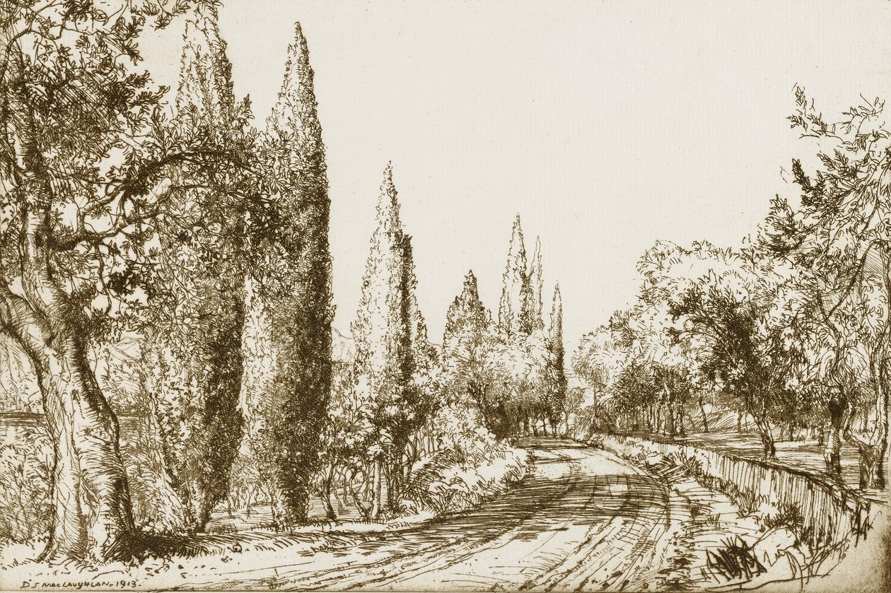  द्वारा डोनाल्ड शॉ MacLaughlan