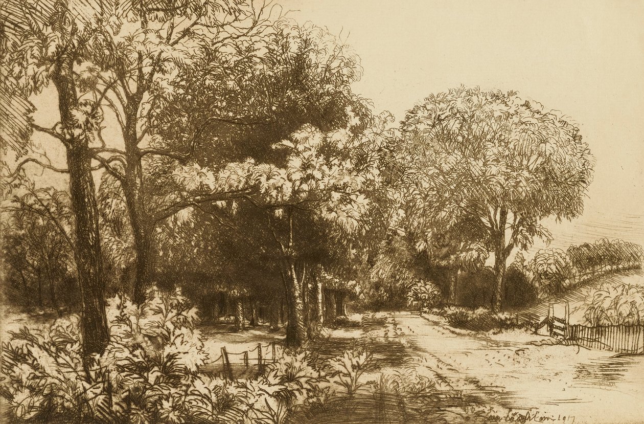  द्वारा डोनाल्ड शॉ MacLaughlan