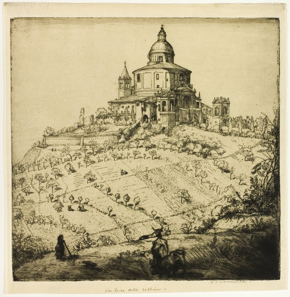  द्वारा डोनाल्ड शॉ MacLaughlan