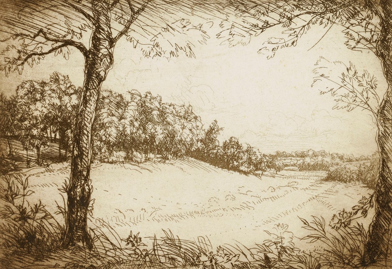  द्वारा डोनाल्ड शॉ MacLaughlan