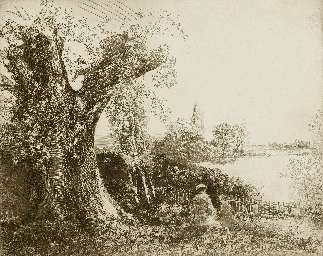  द्वारा डोनाल्ड शॉ MacLaughlan