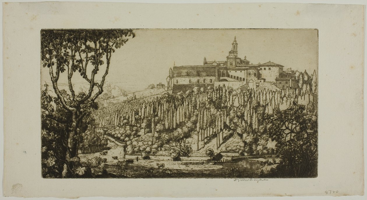  द्वारा डोनाल्ड शॉ MacLaughlan