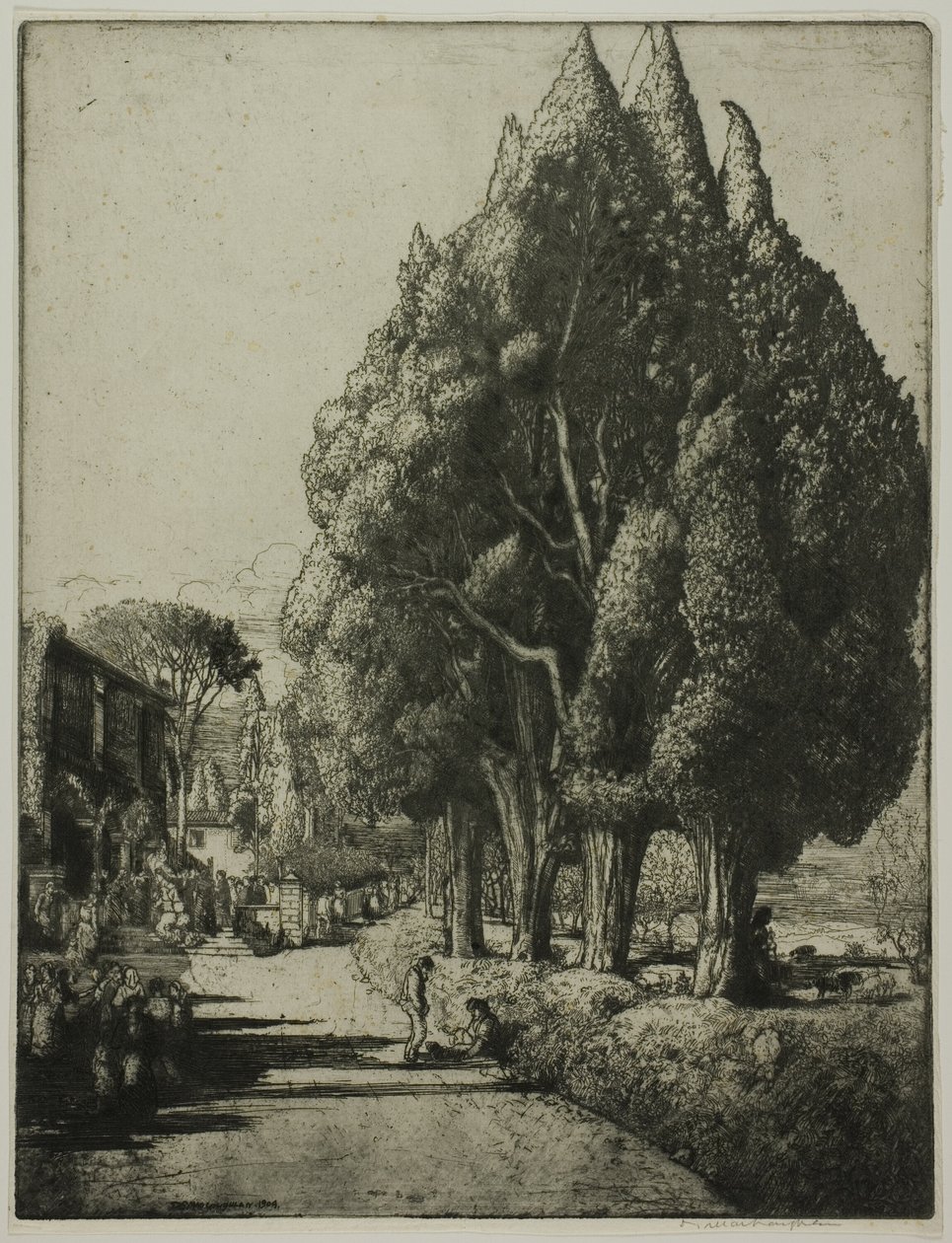  द्वारा डोनाल्ड शॉ MacLaughlan