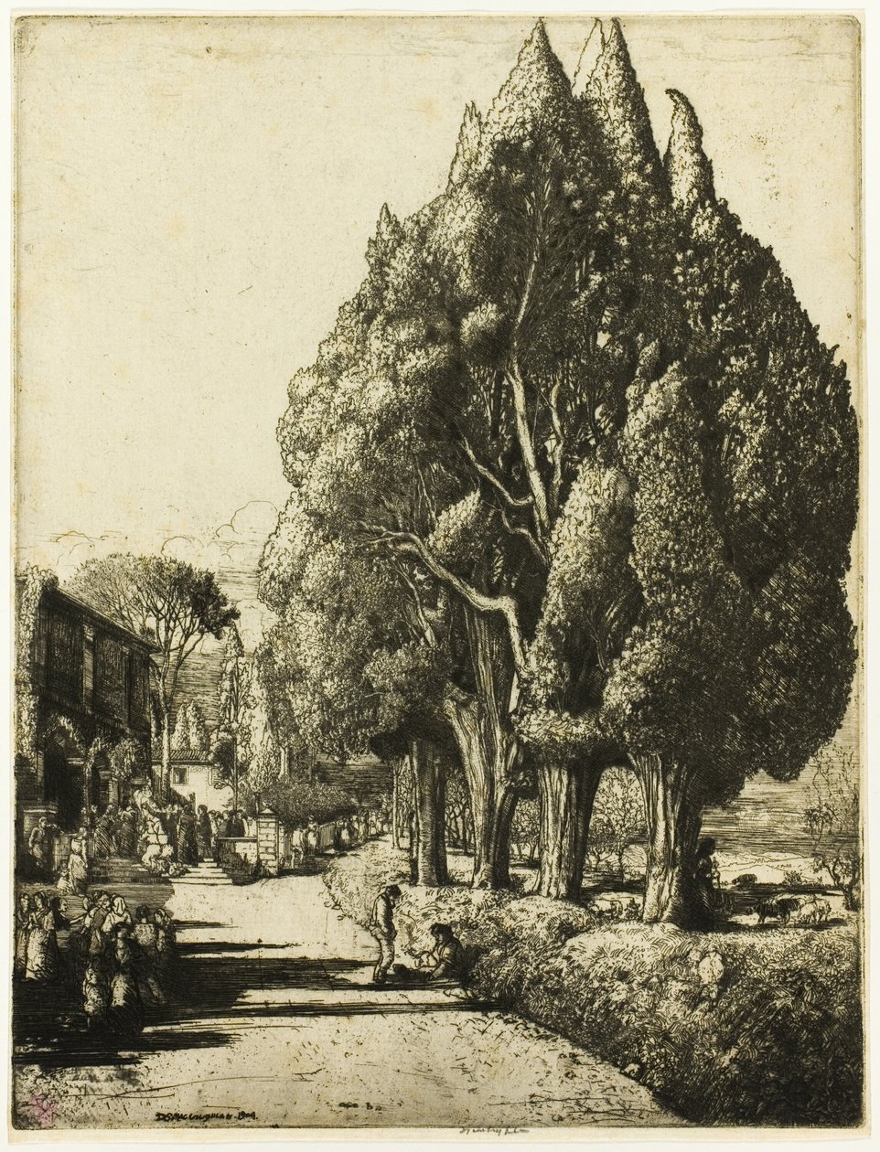  द्वारा डोनाल्ड शॉ MacLaughlan
