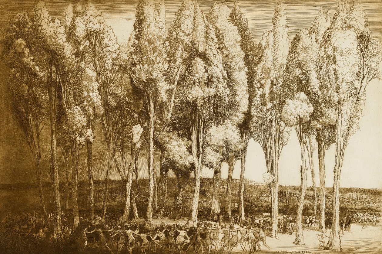  द्वारा डोनाल्ड शॉ MacLaughlan