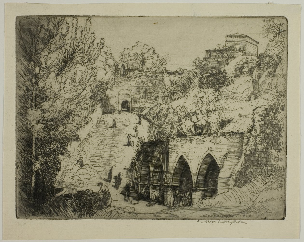  द्वारा डोनाल्ड शॉ MacLaughlan