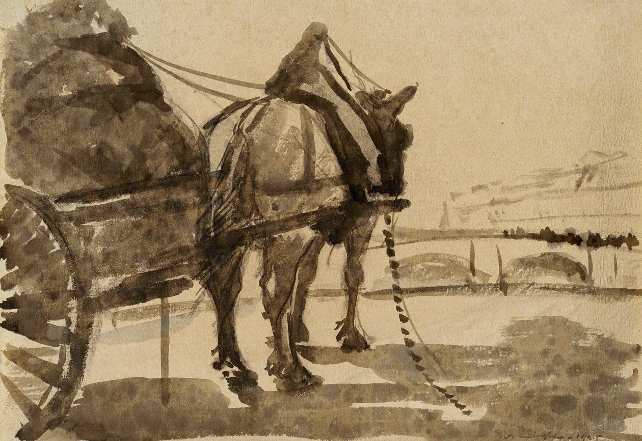  द्वारा डोनाल्ड शॉ MacLaughlan