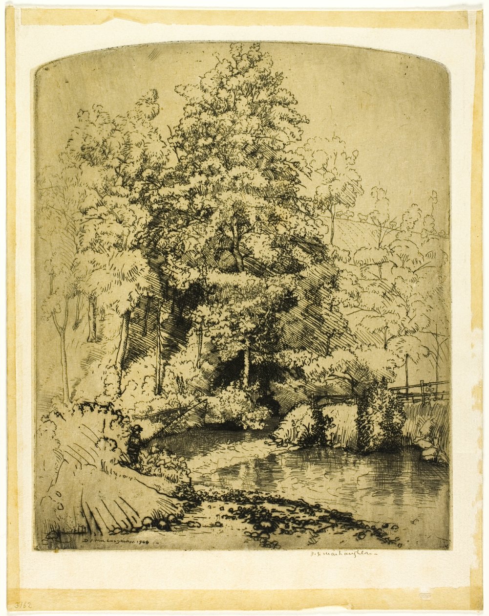  द्वारा डोनाल्ड शॉ MacLaughlan