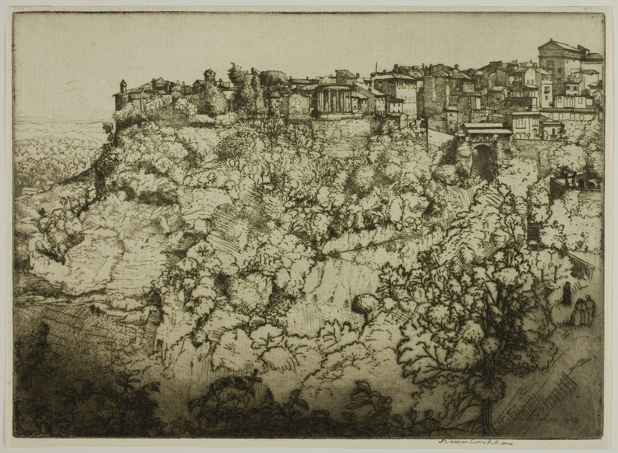  द्वारा डोनाल्ड शॉ MacLaughlan