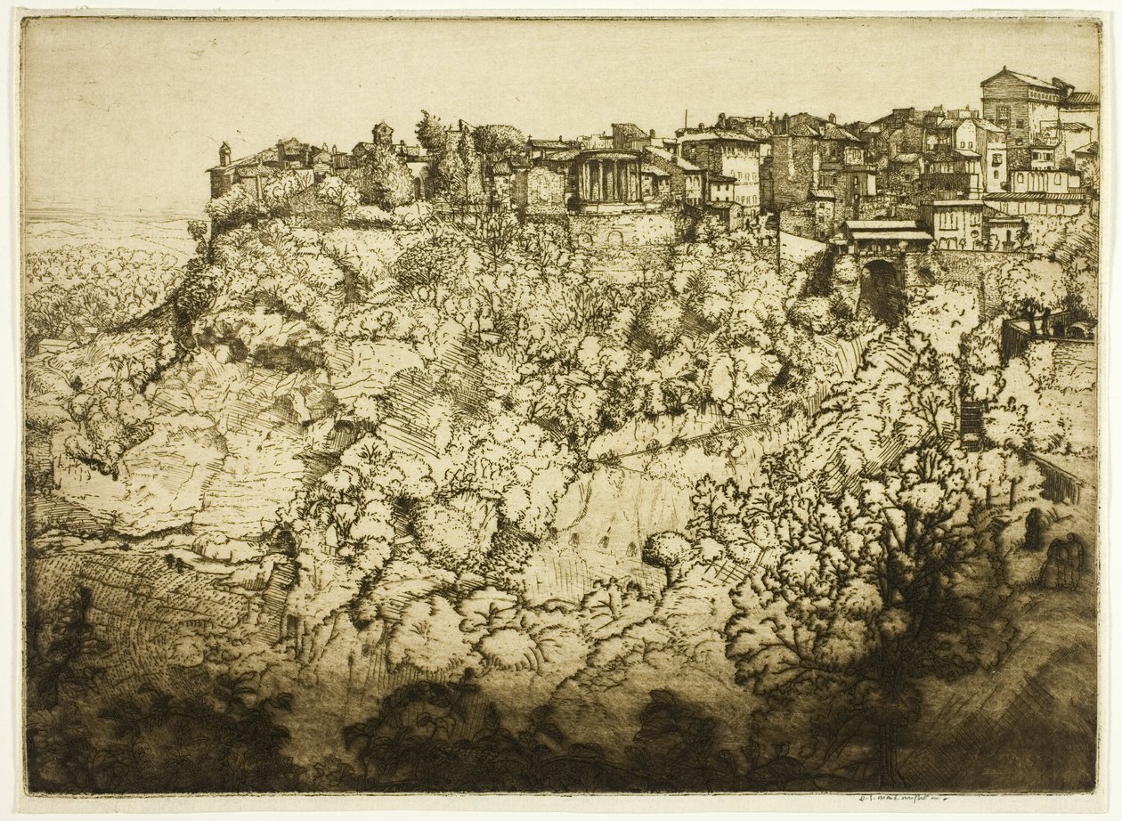 टिवोली द्वारा डोनाल्ड शॉ MacLaughlan