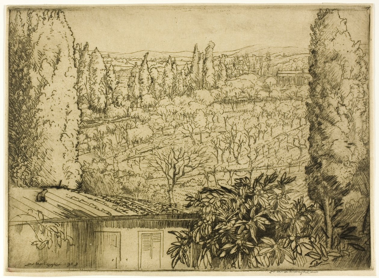  द्वारा डोनाल्ड शॉ MacLaughlan