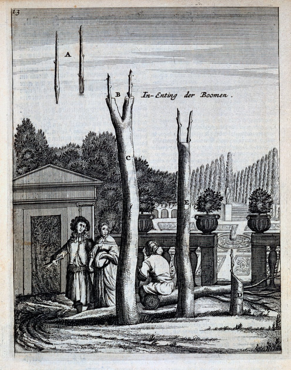जन कॉमेलिन द्वारा डी नेदरलैंडज़ हेस्पराइड्स के लाइम और ऑरेंज ट्री, 1676 में प्रकाशित हुए द्वारा डच स्कूल