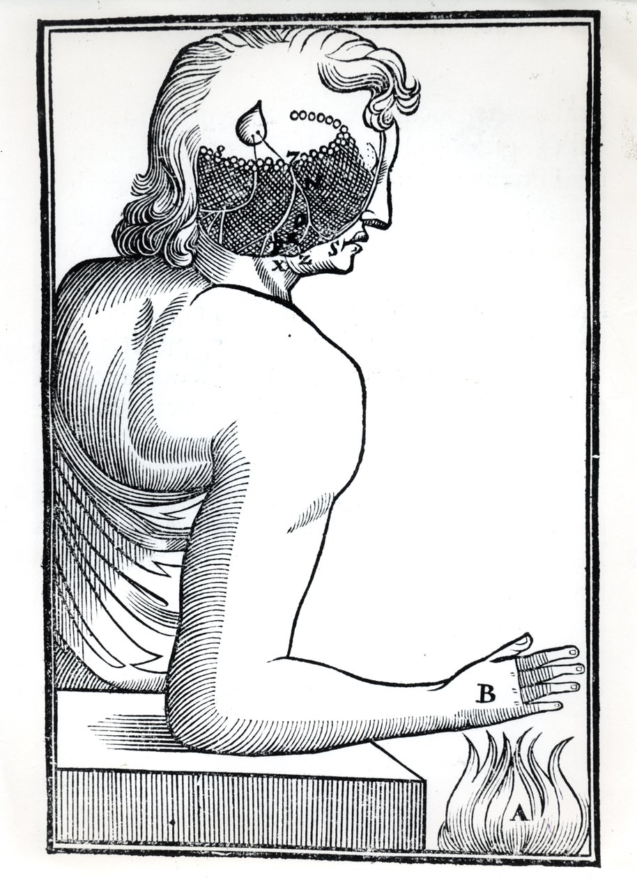 रेन्स डेसकार्टेस (1596-1650) द्वारा डे होमाइन फिगर्स ऑफ़ द सेन्स की धारणा, एम्स्टर्डम, 1677 में प्रकाशित द्वारा डच स्कूल