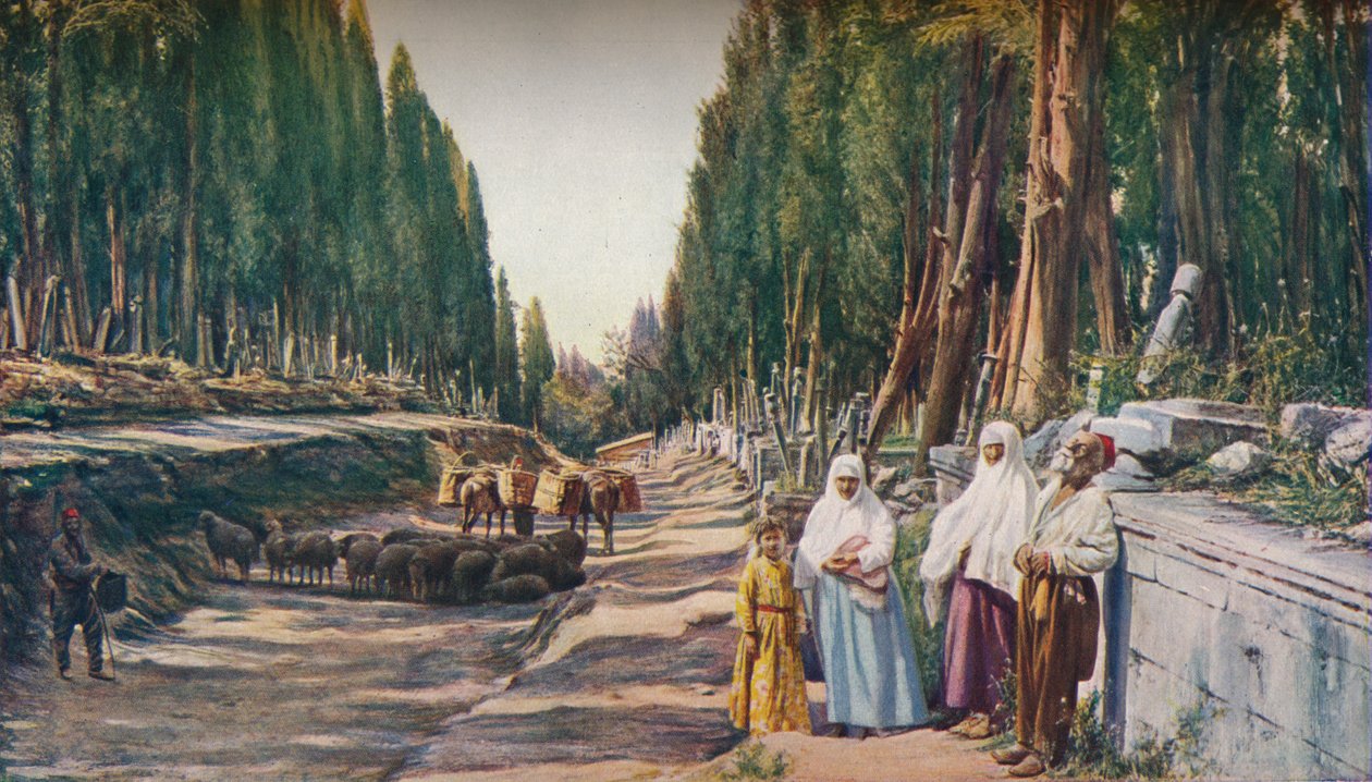 कॉन्स्टेंटिनोपल, c1930s द्वारा ENA