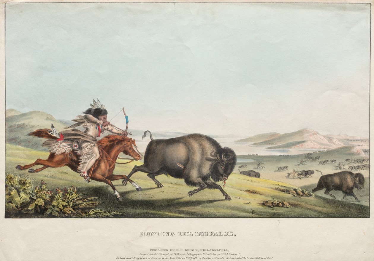 भैंस का शिकार, 1837। द्वारा ईसी बिडल