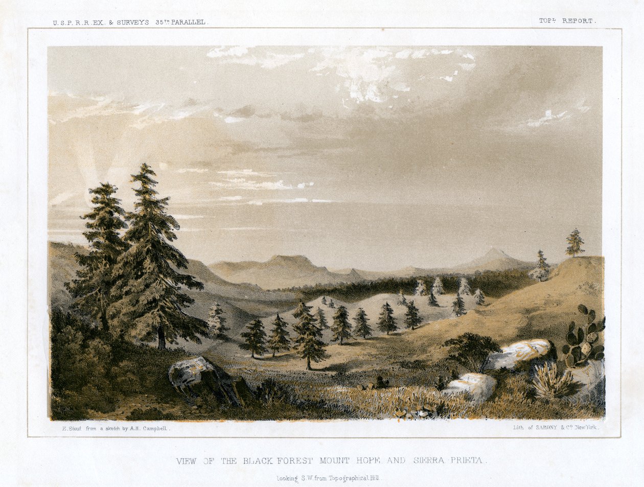 द ब्लैक फॉरेस्ट माउंट होप और सिएरा प्रीटा, यूएसए, 1856। द्वारा ई स्टाउट