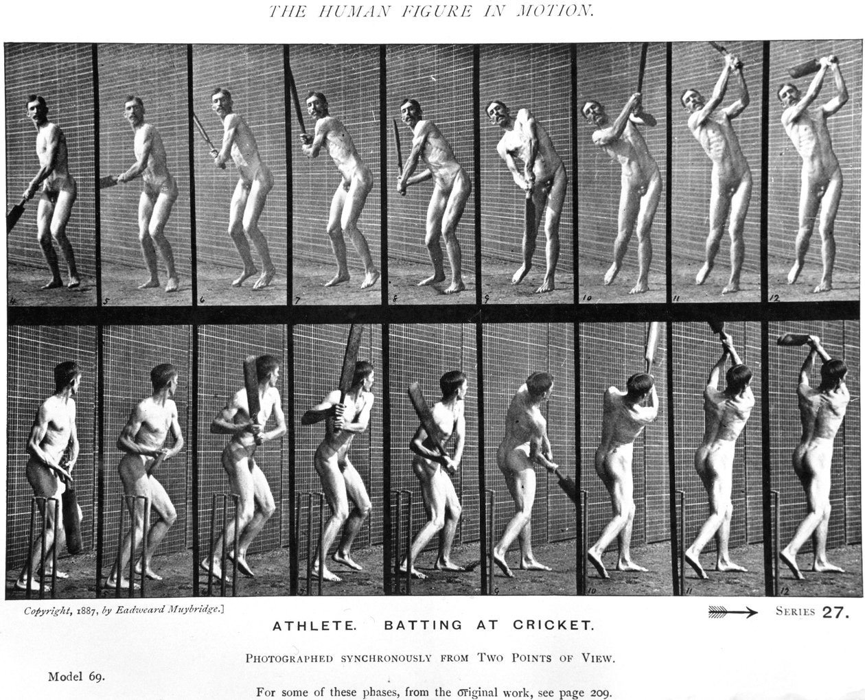 क्रिकेटर, &39;एनिमल लोकोमोशन&39;, 1887 से द्वारा एडवियर्ड मुयब्रिज