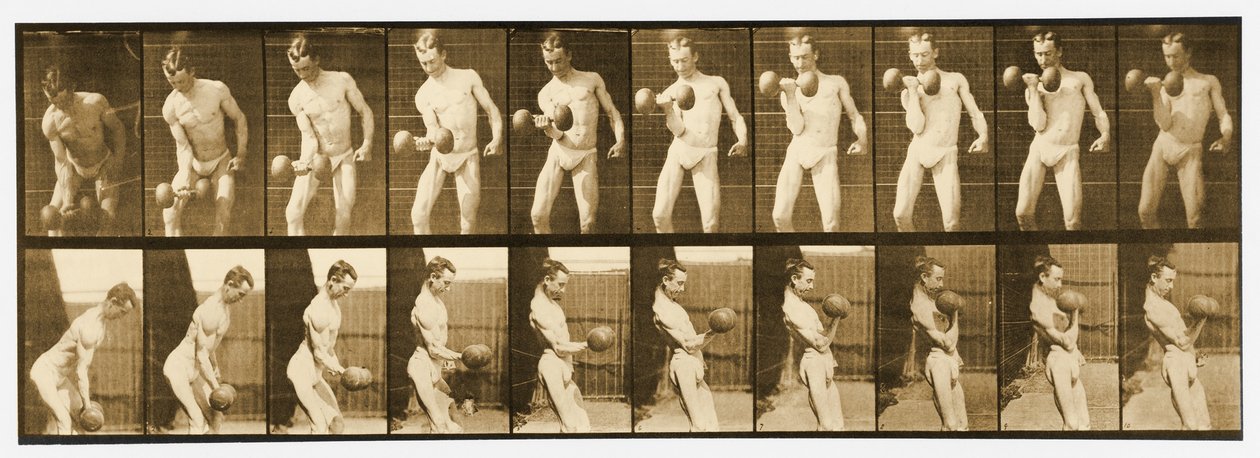 &39;एनिमल लोकोमोशन&39; श्रृंखला से चित्र, c.1887 द्वारा एडवियर्ड मुयब्रिज