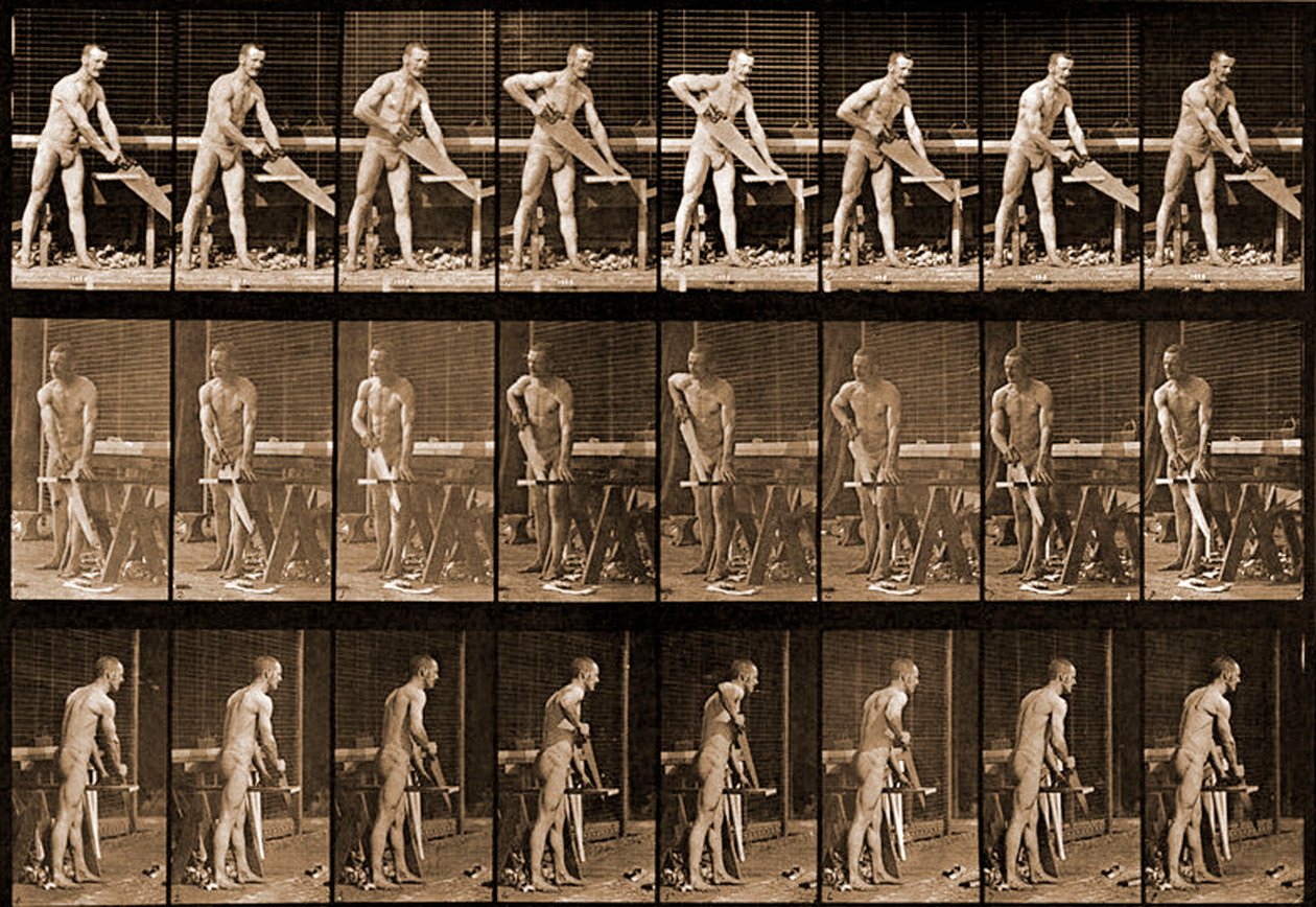 मैन विथ &39;एनिमल लोकोमोशन&39; सीरीज़, c.1881 द्वारा एडवियर्ड मुयब्रिज