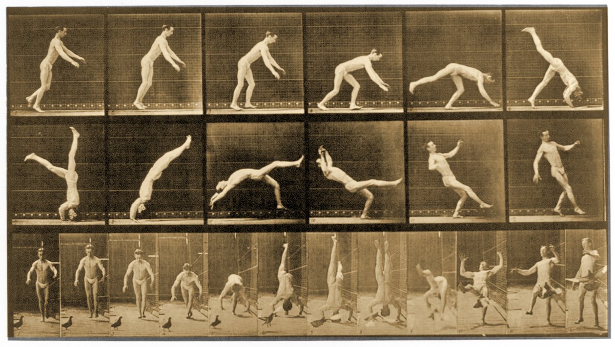 8 एनिमल लोकोमोशन ’श्रृंखला से प्लेट, c.1887 द्वारा एडवियर्ड मुयब्रिज