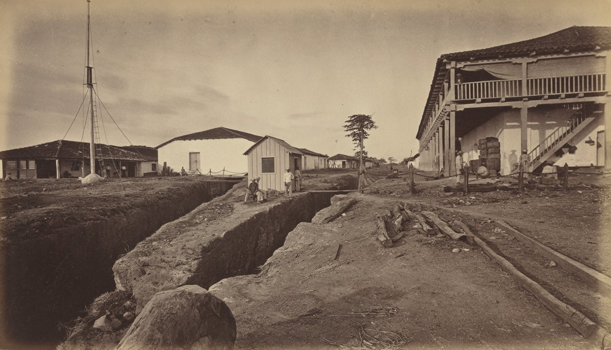 एकजुटला, 1877। द्वारा एडवियर्ड मुयब्रिज