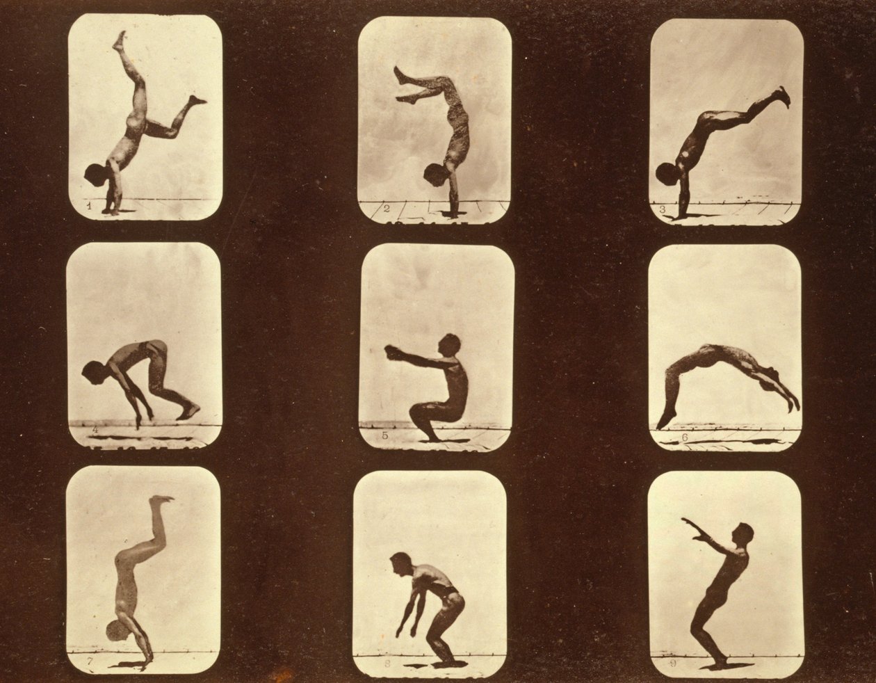 एथलीट। फ्लिप फ्लैप 'एनिमल लोकोमोशन' सीरीज, c.1881 (b/w फोटो) द्वारा एडवियर्ड मुयब्रिज