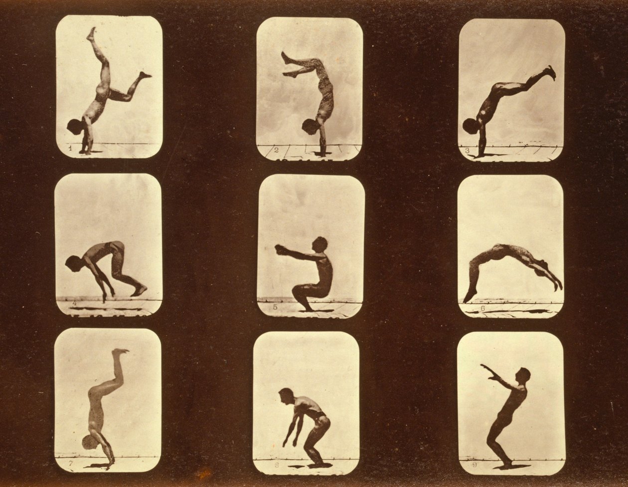 एथलीट। &39;एनिमल लोकोमोशन&39; सीरीज़ से अनियमित, c.1881 द्वारा एडवियर्ड मुयब्रिज