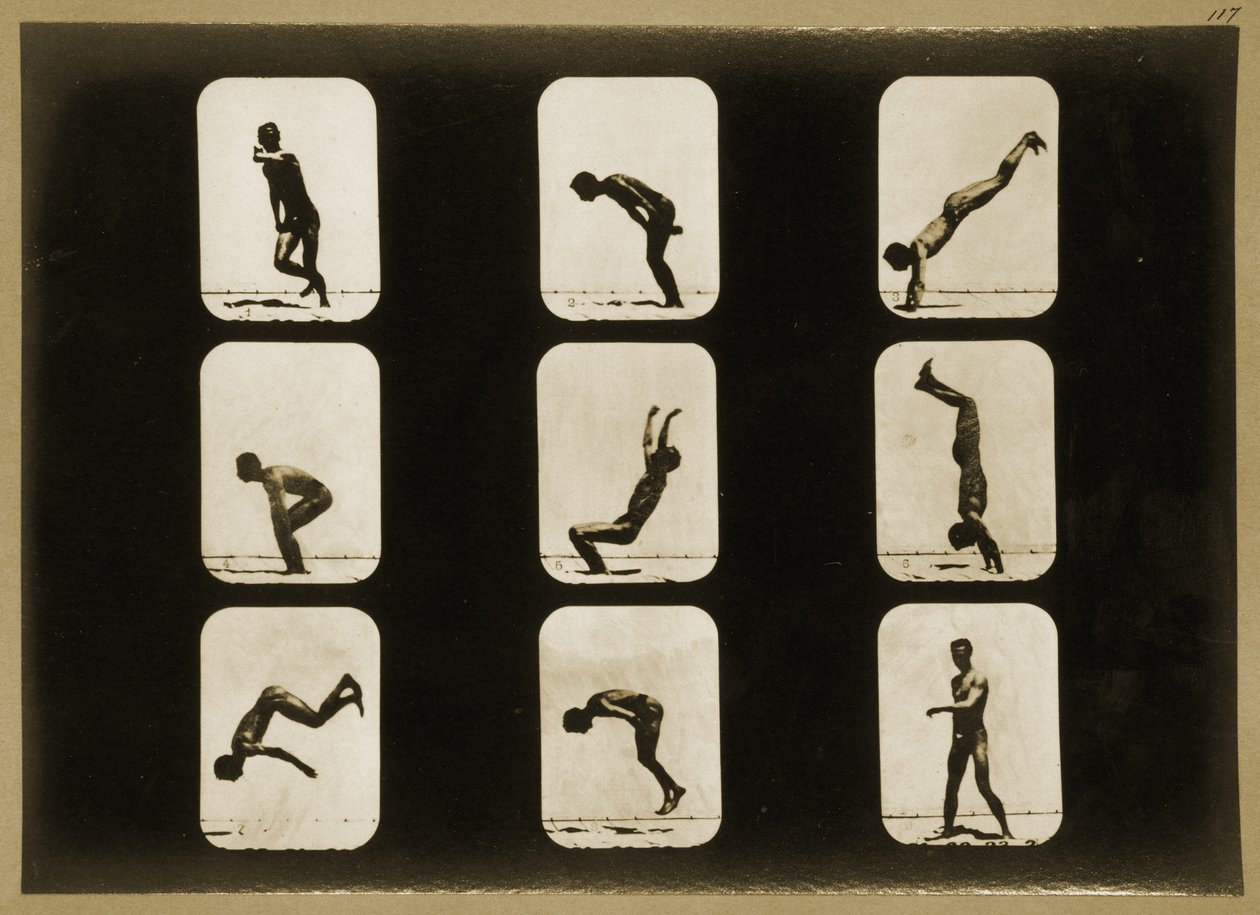 एथलीट, अनियमित, &39;एनिमल लोकोमोशन&39; श्रृंखला से, c.1881 द्वारा एडवियर्ड मुयब्रिज