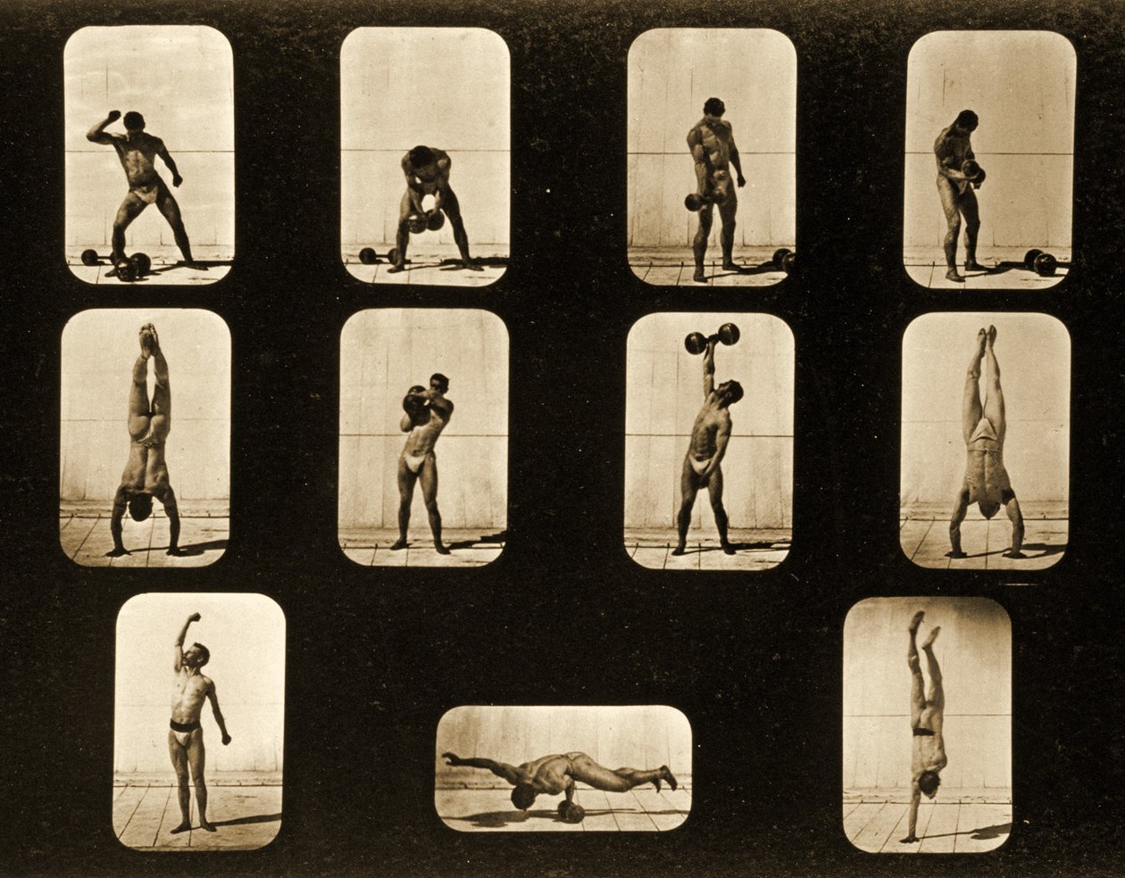 एथलीट। पोस्टिंग फॉर्म &39;एनिमल लोकोमोशन&39; श्रृंखला, c.1881 द्वारा एडवियर्ड मुयब्रिज