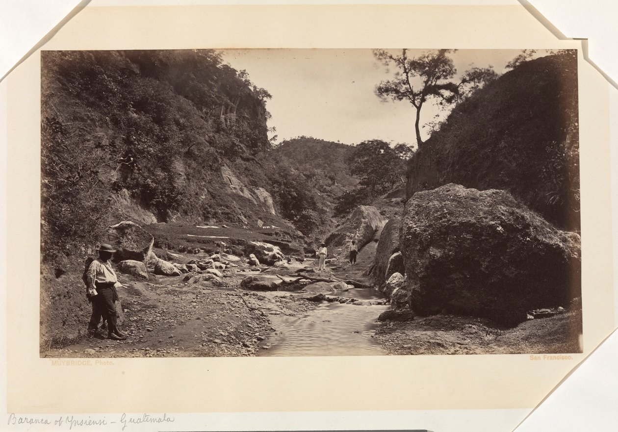  द्वारा एडवियर्ड मुयब्रिज