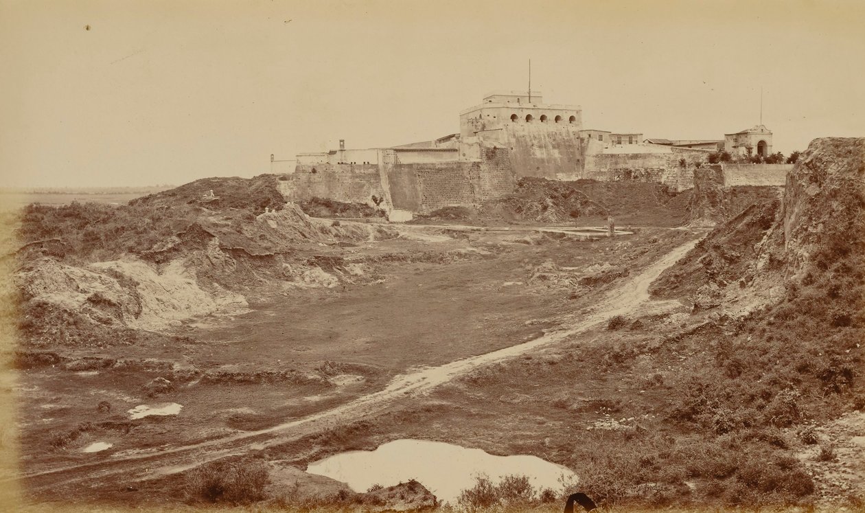  द्वारा एडवियर्ड मुयब्रिज