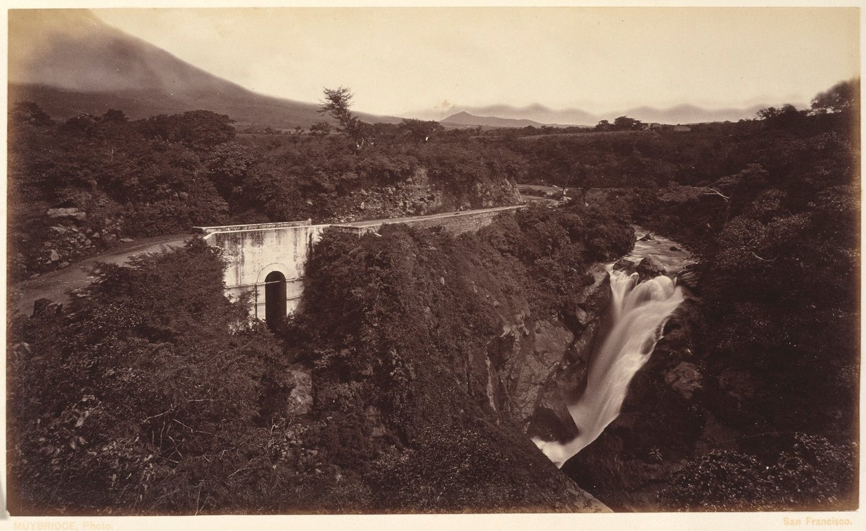  द्वारा एडवियर्ड मुयब्रिज