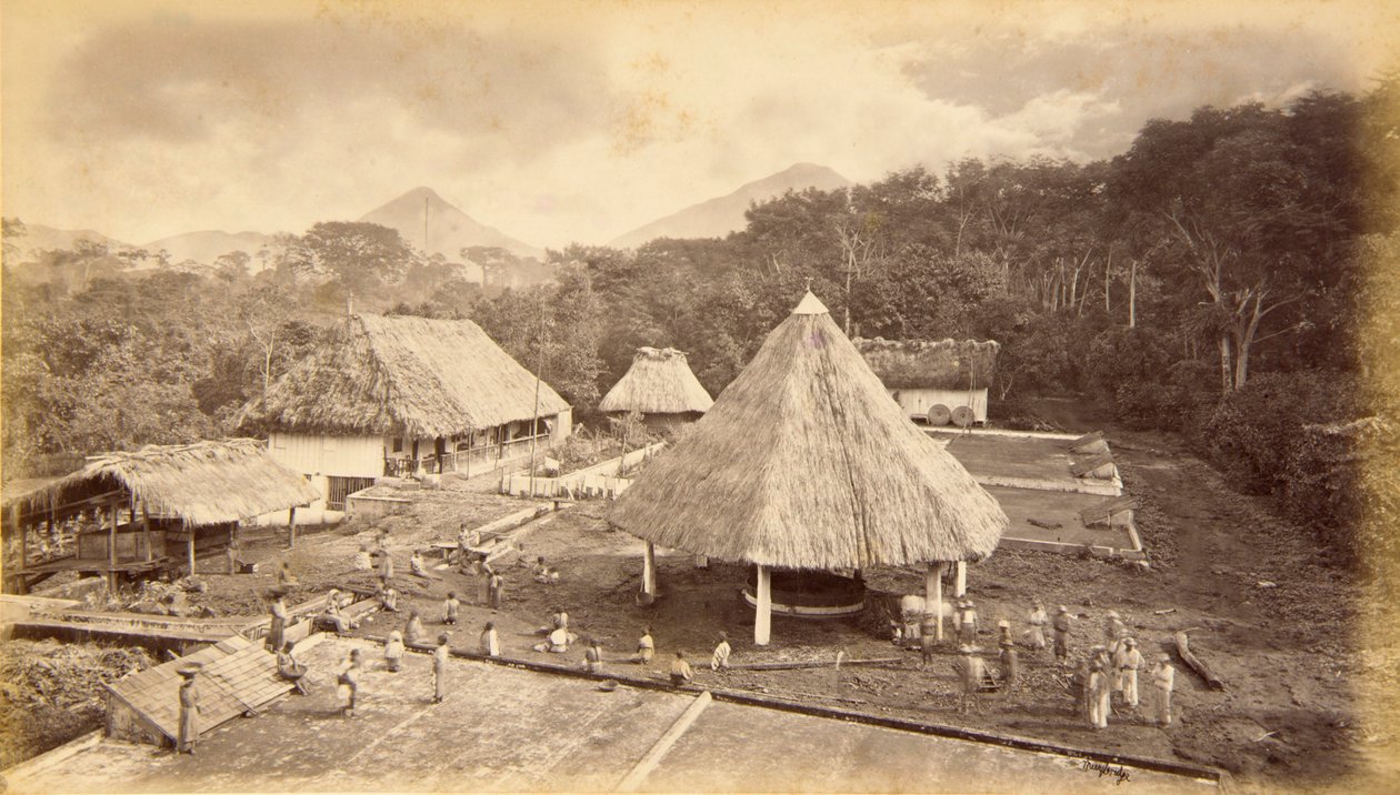  द्वारा एडवियर्ड मुयब्रिज
