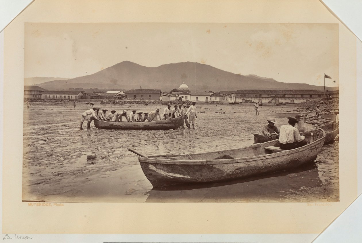  द्वारा एडवियर्ड मुयब्रिज