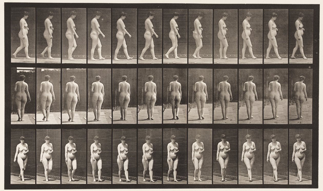 प्लेट 18. चलना, बाएँ हाथ के पार पेट, 1872-1885 द्वारा एडवियर्ड मुयब्रिज