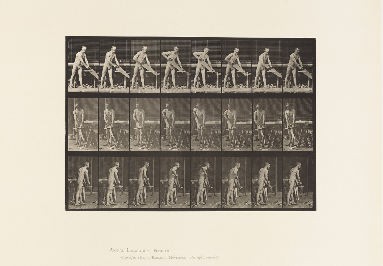 प्लेट 380. बढ़ई, सेविंग, 1872-1885 द्वारा एडवियर्ड मुयब्रिज