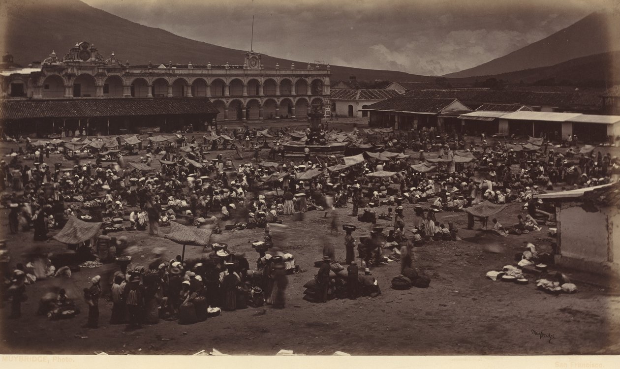  द्वारा एडवियर्ड मुयब्रिज