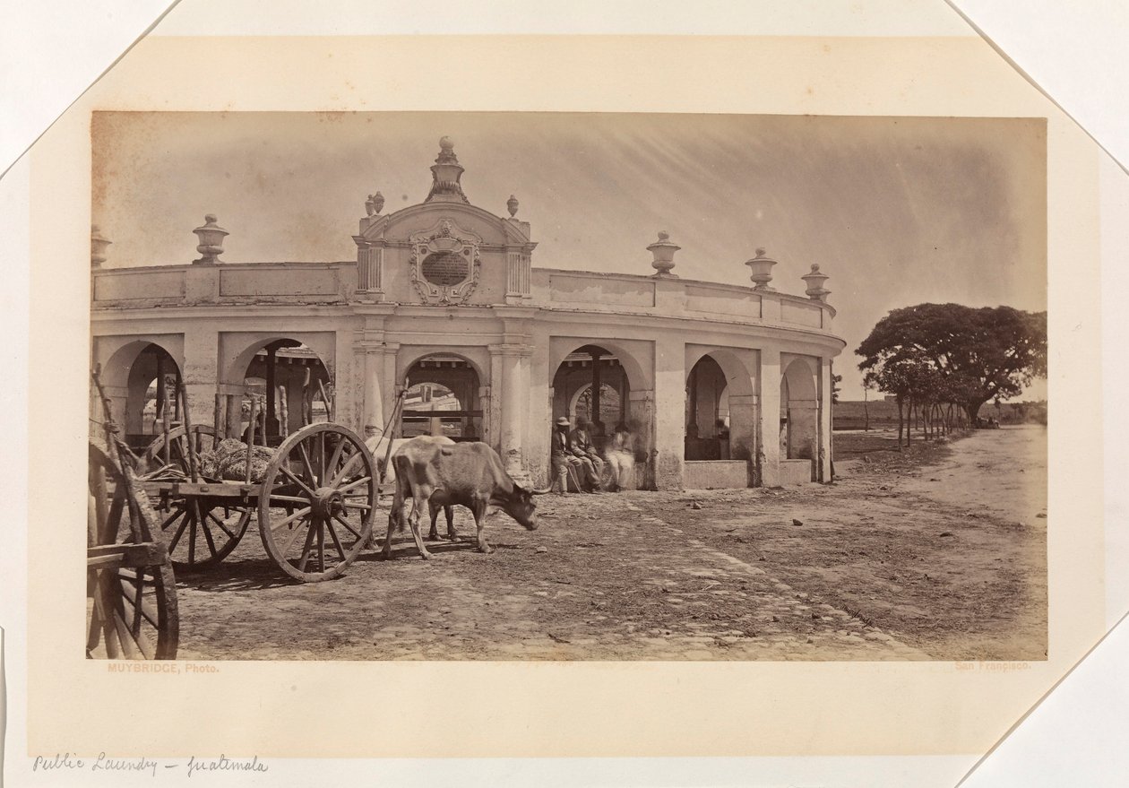  द्वारा एडवियर्ड मुयब्रिज