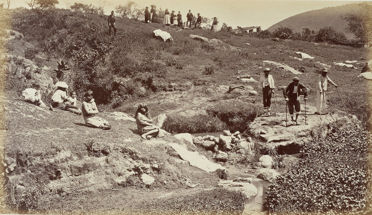  द्वारा एडवियर्ड मुयब्रिज