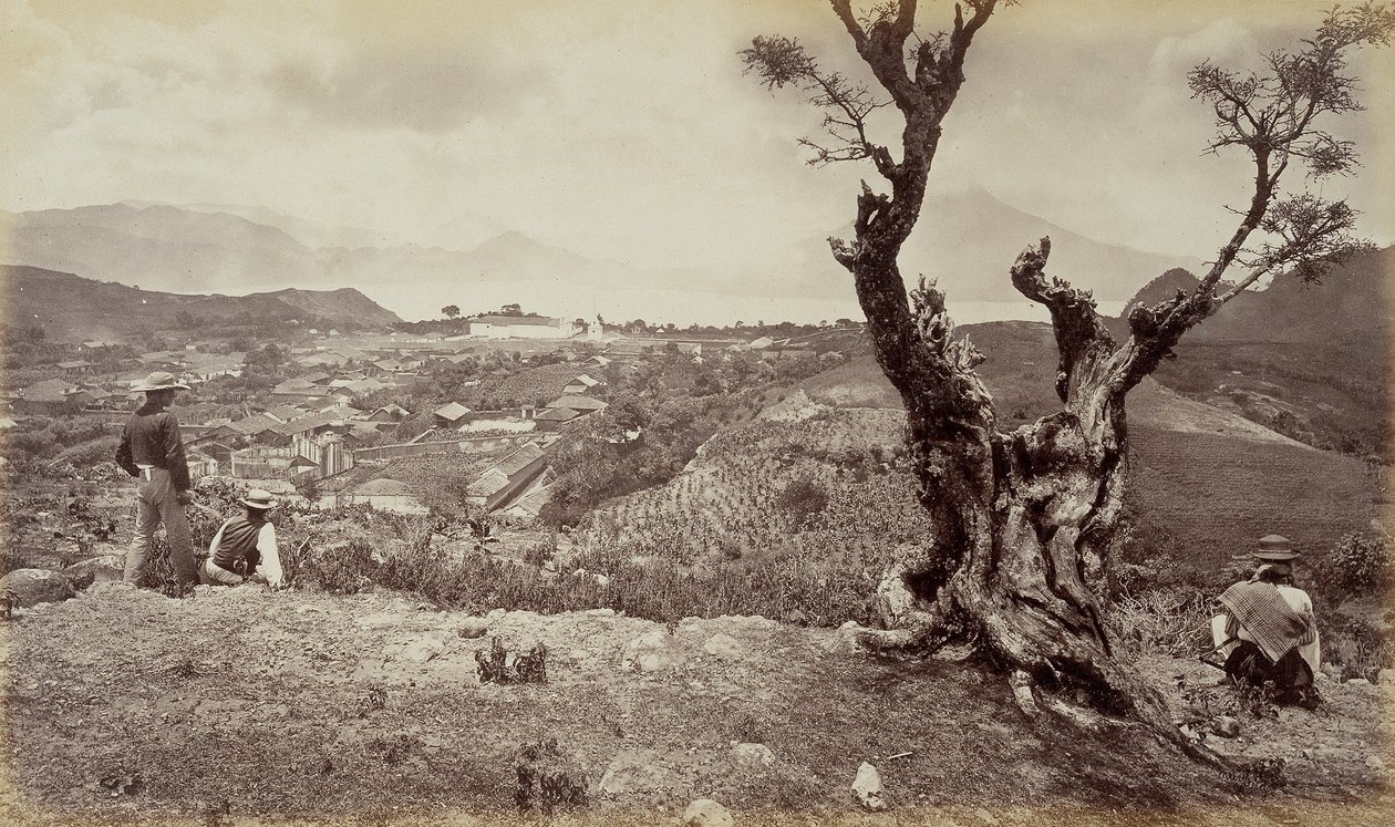  द्वारा एडवियर्ड मुयब्रिज
