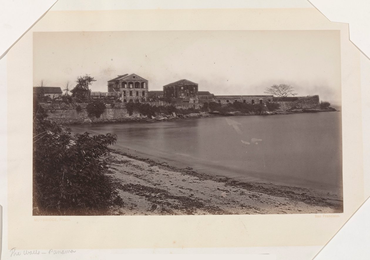  द्वारा एडवियर्ड मुयब्रिज