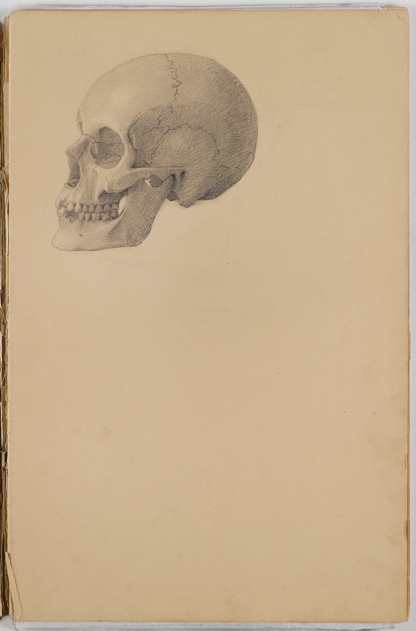 एनाटॉमी स्केच बुक, 1849 (ग्रेफाइट में चित्र युक्त स्केचबुक) द्वारा ईस्टमैन जॉनसन