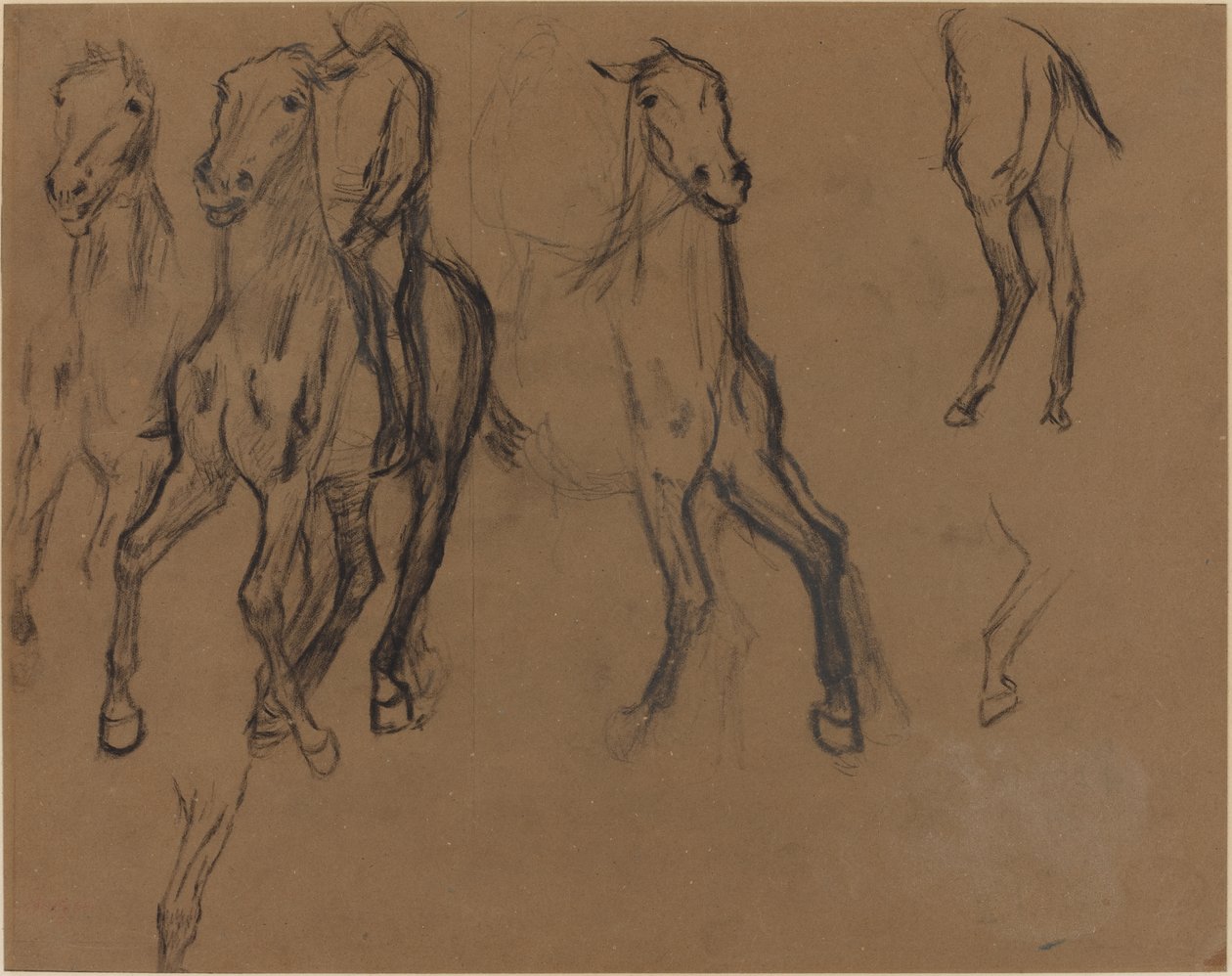 घोड़े का अध्ययन, c.1886 (भूरे रंग के कागज पर चारकोल और ग्रेफाइट) द्वारा एडगर डीगास