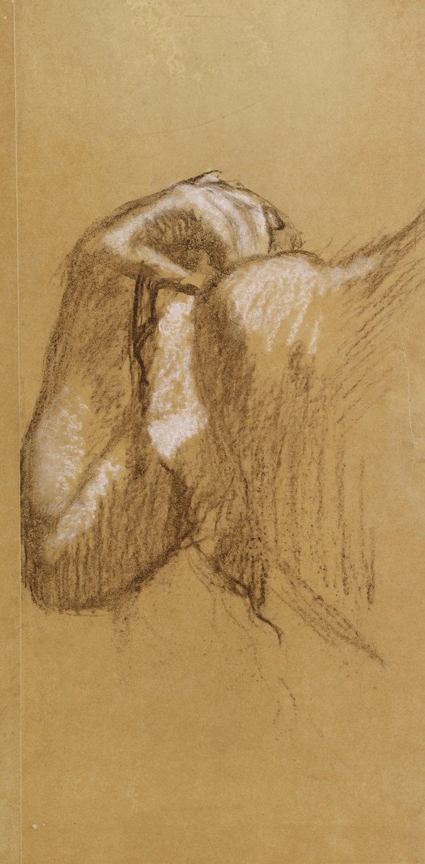 एक शाखा का अध्ययन, c.1895-90 (भूरा और सफेद पस्टेल भूरा ट्रेसिंग पेपर पर) द्वारा एडगर डीगास