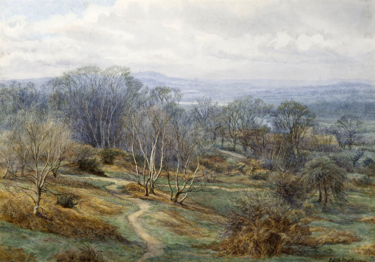 Hampstead हीथ हिल पर हैरो की तलाश में, c.1880 (कागज पर wc) द्वारा एडिथ मार्टिनो