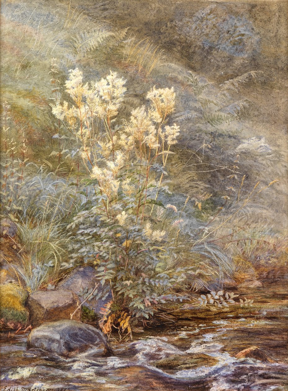 बर्न, इनवेनेसशायर, c.1883 के बगल में घास का मैदान द्वारा एडिथ मार्टिनो