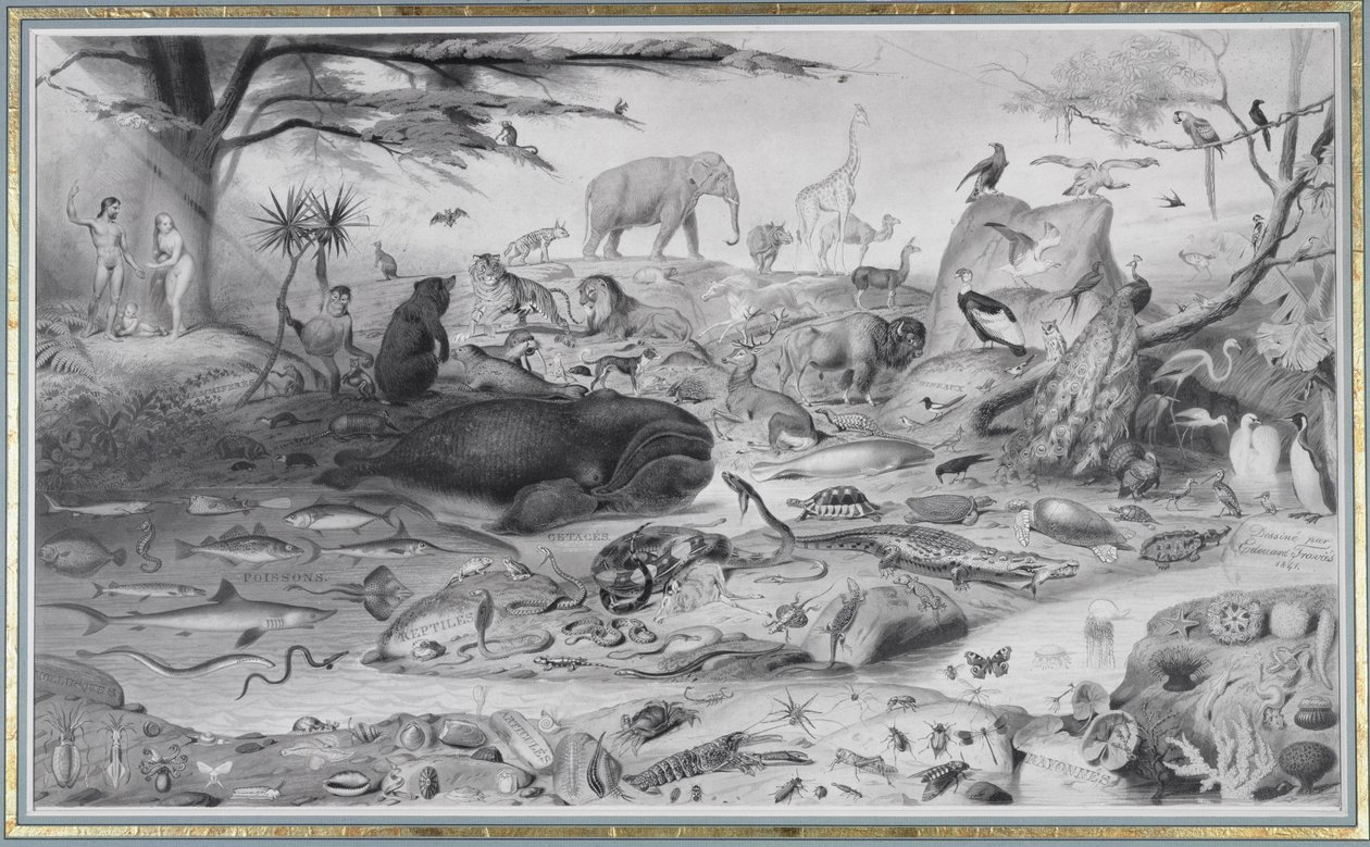 एडम और ईव एंड द एनिमल्स, 1841 द्वारा एडौर्ड ट्रैविस