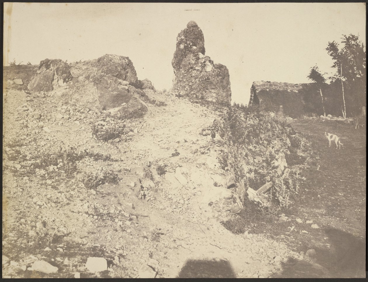  द्वारा एडवर्ड बाल्डस